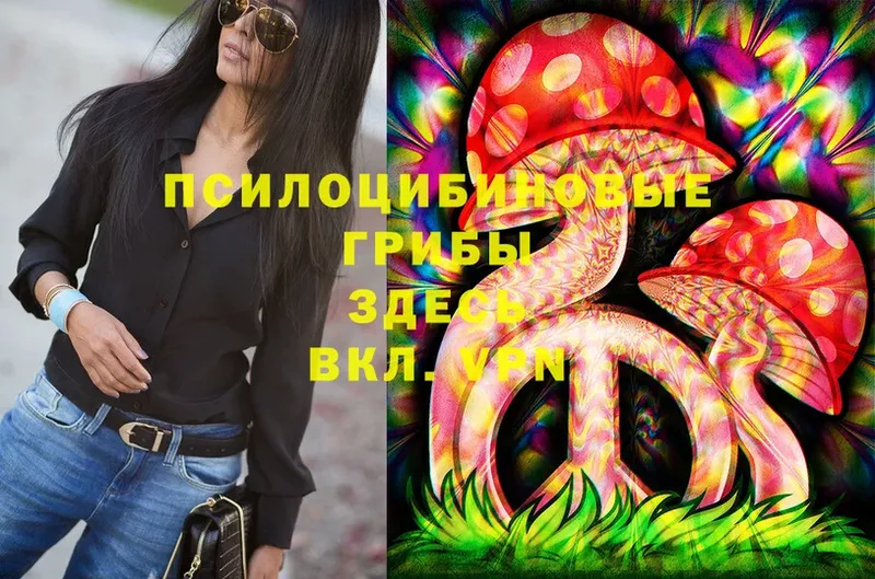 Псилоцибиновые грибы Cubensis  Кирс 